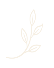 Aesthera